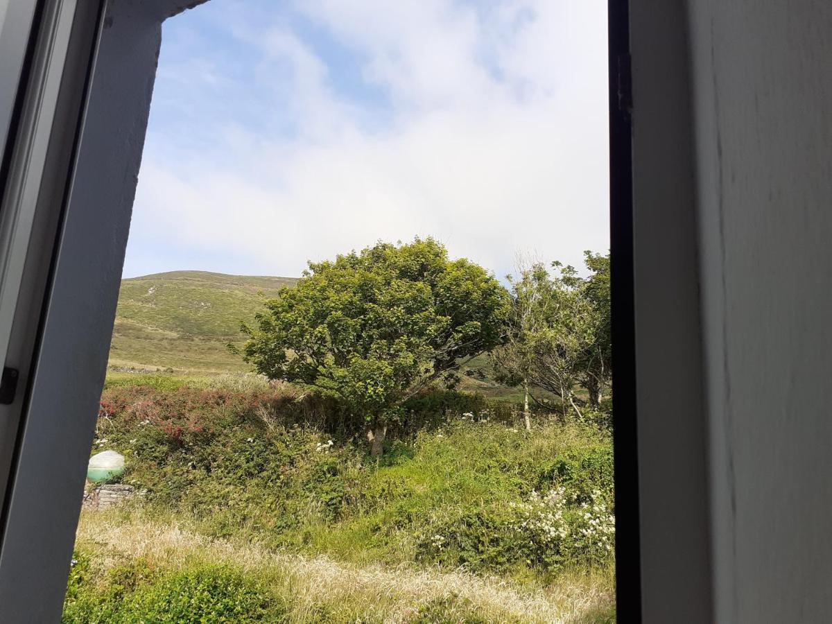 Gleann Loic Farmhouse Villa Dingle Bagian luar foto