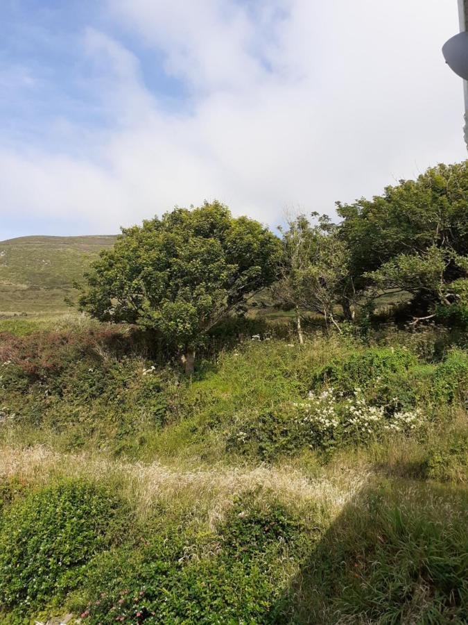 Gleann Loic Farmhouse Villa Dingle Bagian luar foto