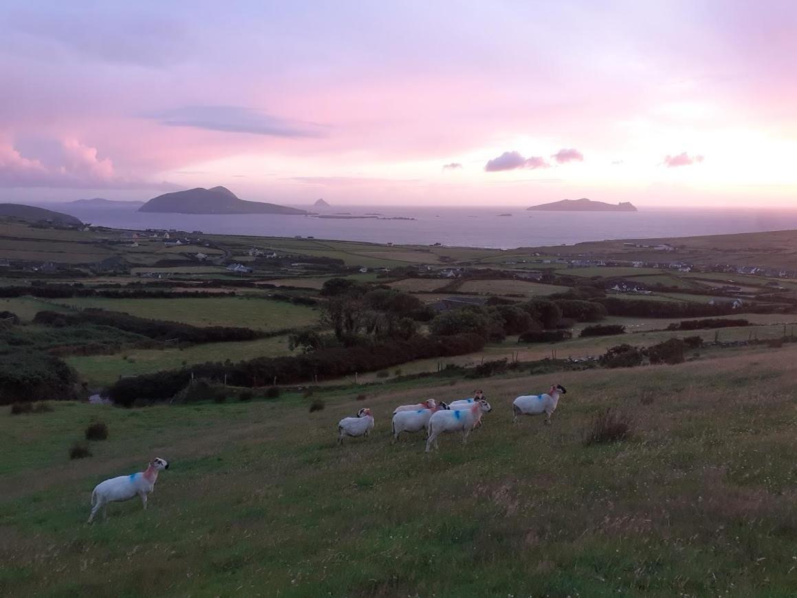 Gleann Loic Farmhouse Villa Dingle Bagian luar foto