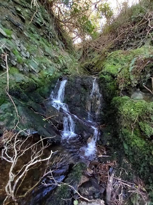 Gleann Loic Farmhouse Villa Dingle Bagian luar foto