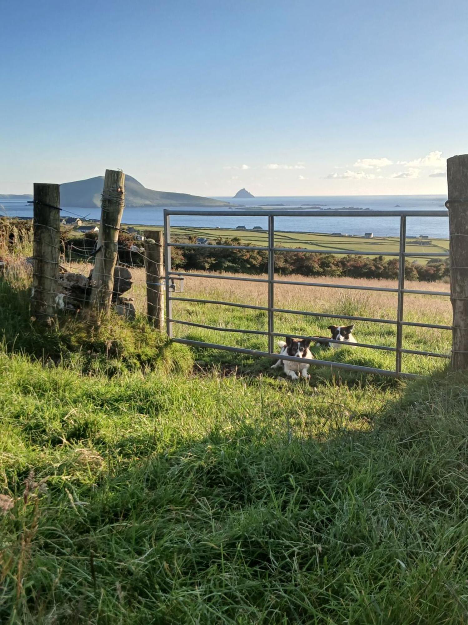 Gleann Loic Farmhouse Villa Dingle Bagian luar foto