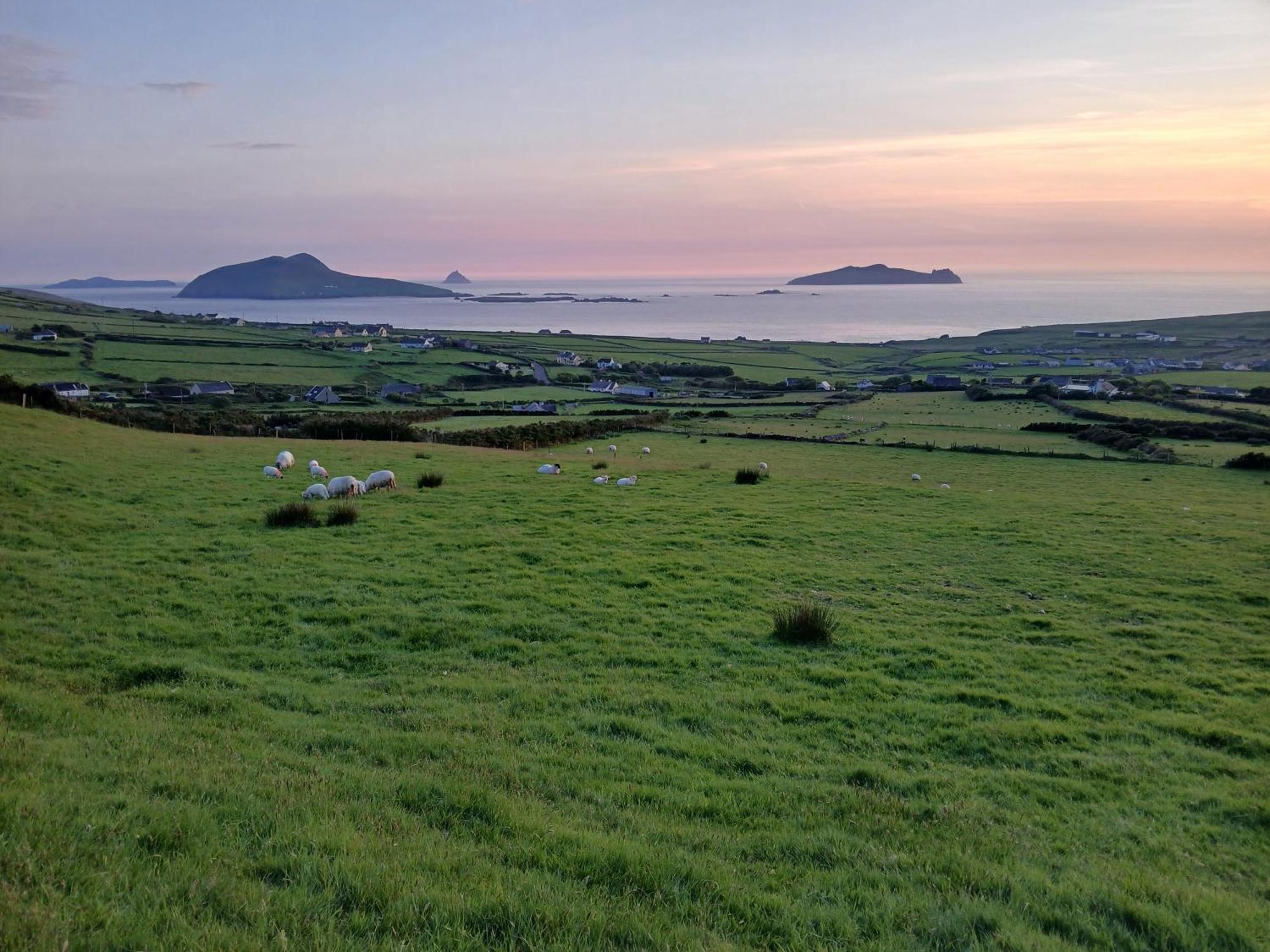 Gleann Loic Farmhouse Villa Dingle Bagian luar foto